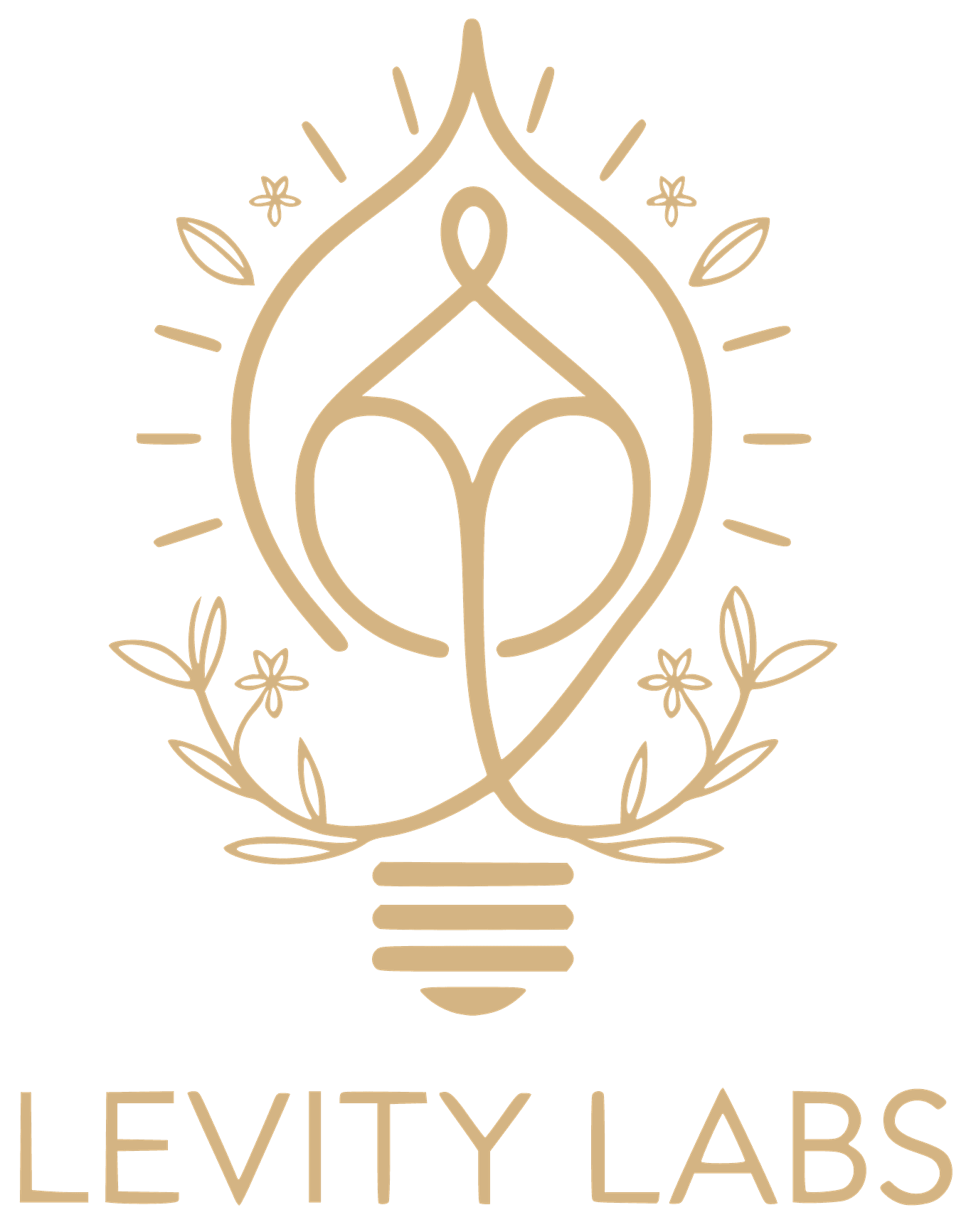 Levity Labs